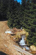 Górski strumień przy szlaku