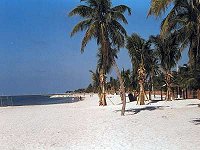 Plaża w Key West