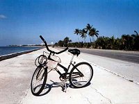 Rower ułatwia zwiedzanie Key West